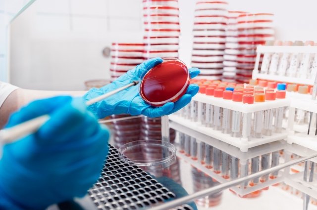 рекламный дзержинск