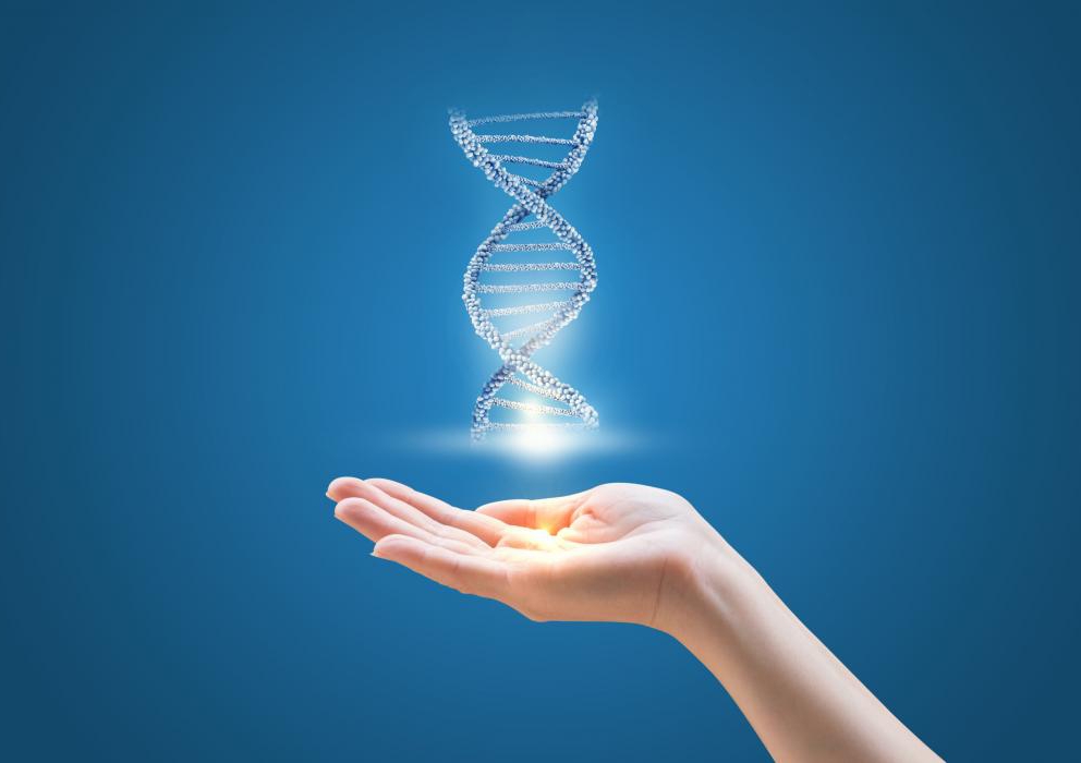 рекламный дзержинск