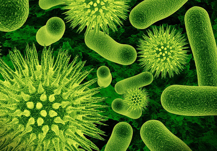 рекламный дзержинск